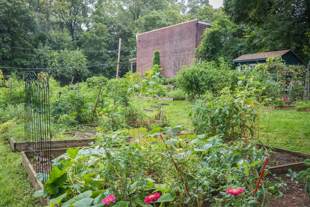 Saturday, June 6  Digging Deeper: Remaking the Nicholson Church Lane Community Garden