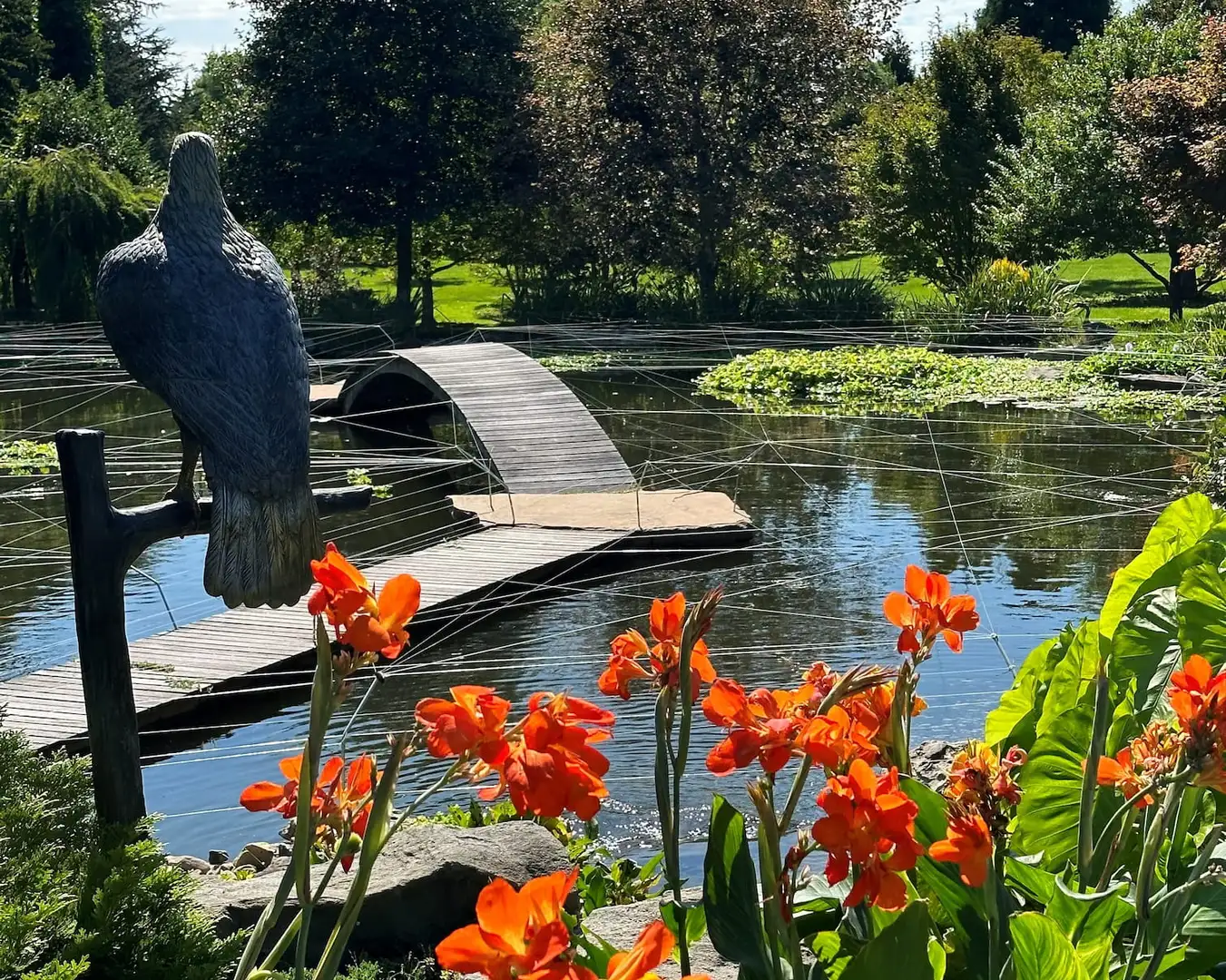 Saturday, June 27 Open Day at Entwood