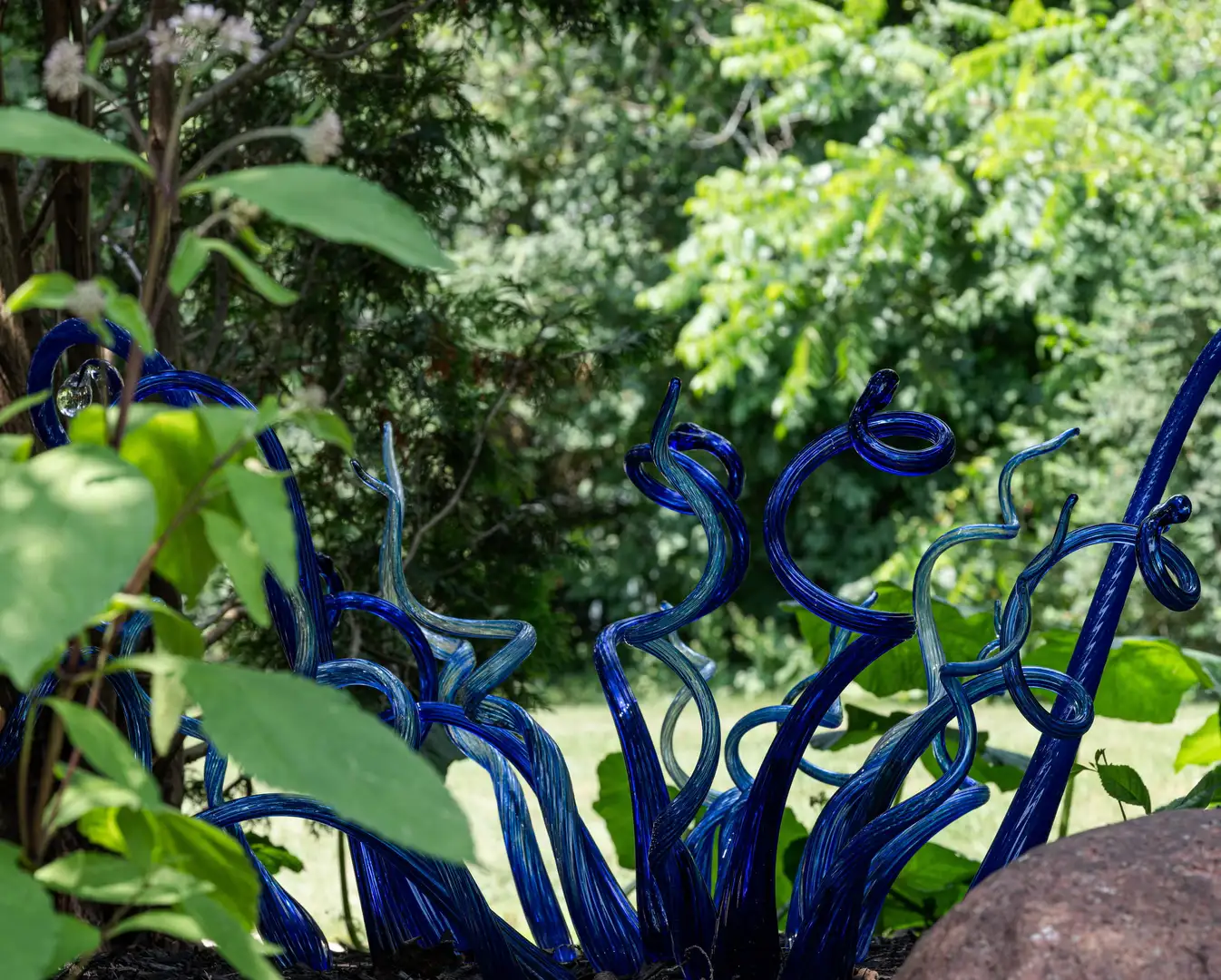 Sunday, July 26 Open Day at An Unexpected Oasis in Brookfield