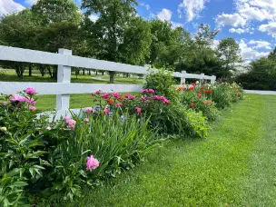 Saturday, July 11 Open Day at White Oaks Farm