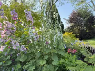 Saturday, June 27 Open Day at The Barn on Butter Lane, Session 3: 2pm–4pm