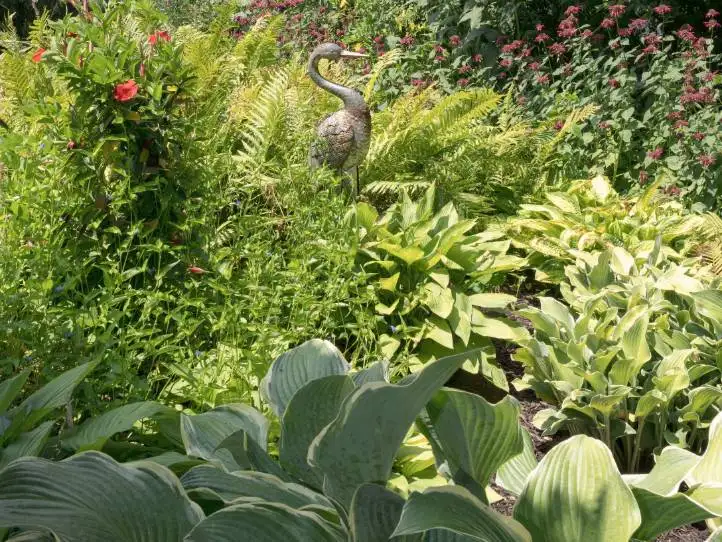 Sunday, July 26 - Digging Deeper: Tips for Perennial Gardens