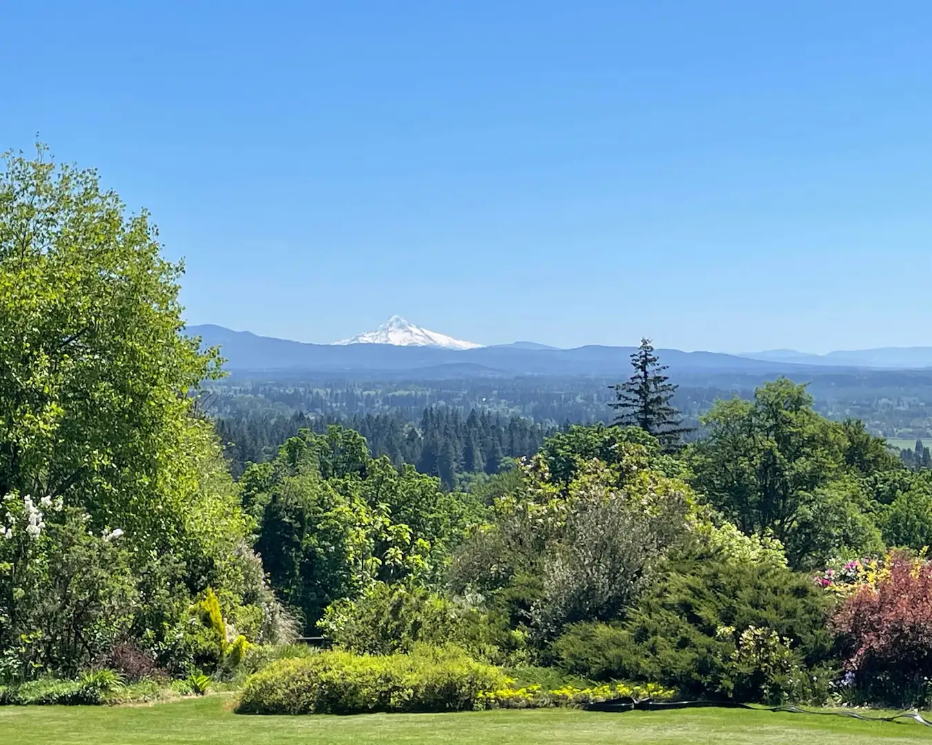 Saturday, July 25 Open Day at M3 Ranch and Garden