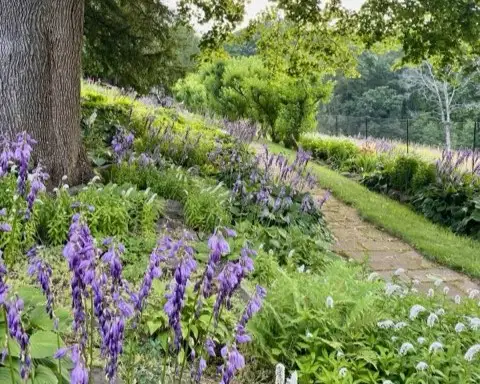 Saturday, June 13 Open Day at The Gardens of Wilpen Hall