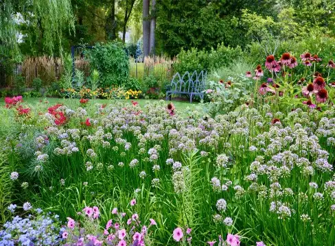 Saturday, June 27  Digging Deeper: Insight into a Landscape Transformation from Start to Finish