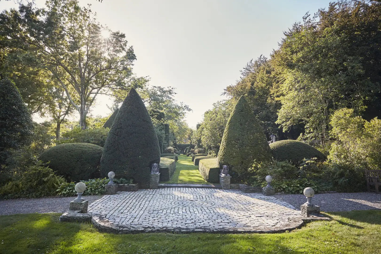 Saturday, June 13 Digging Deeper: Confronting Beech Blights Through Soil Health