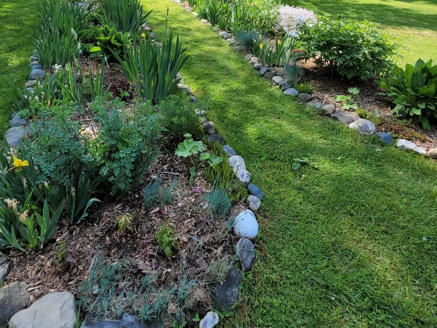 Saturday, July 11 Open Day at Phoenix House Gardens