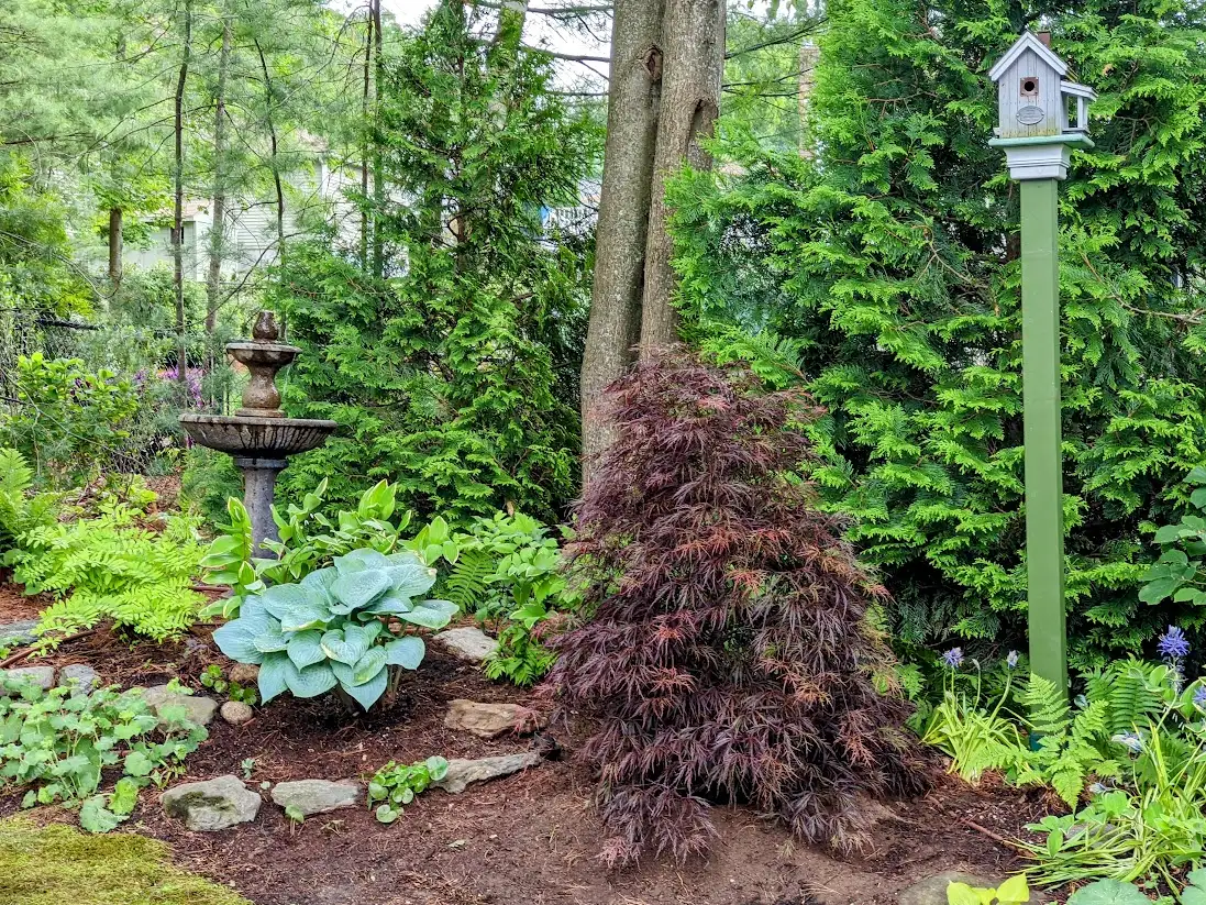 Saturday, July 18 Open Day at The Big Little Garden