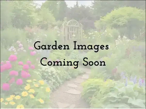 Sunday, July 19 Open Day at Marta's Garden